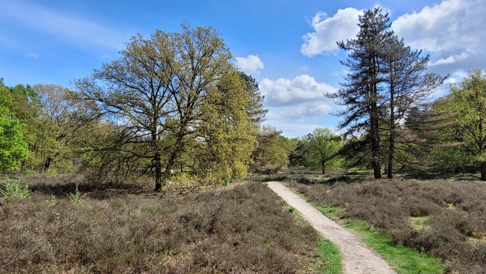 Bnb Overloon Buitenkant foto